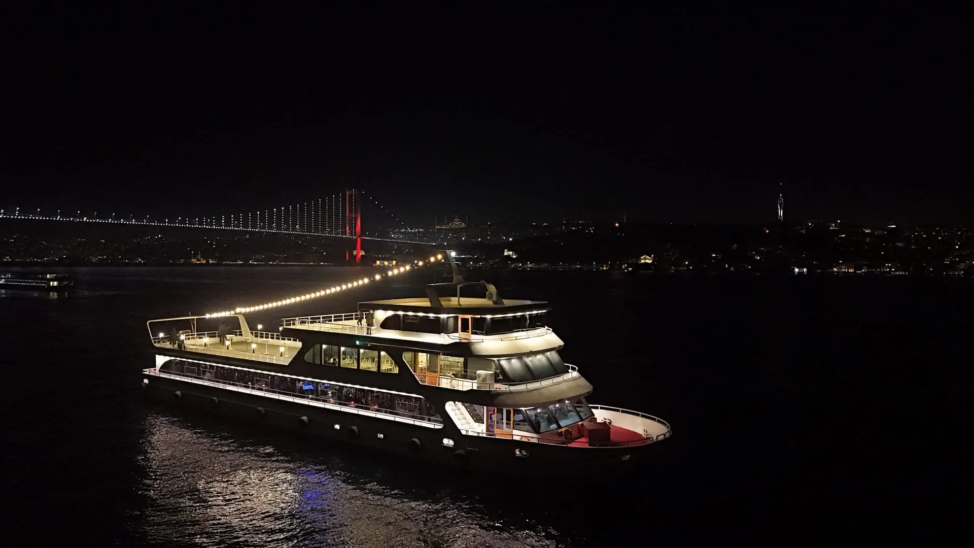 The Bosphorus by night from above